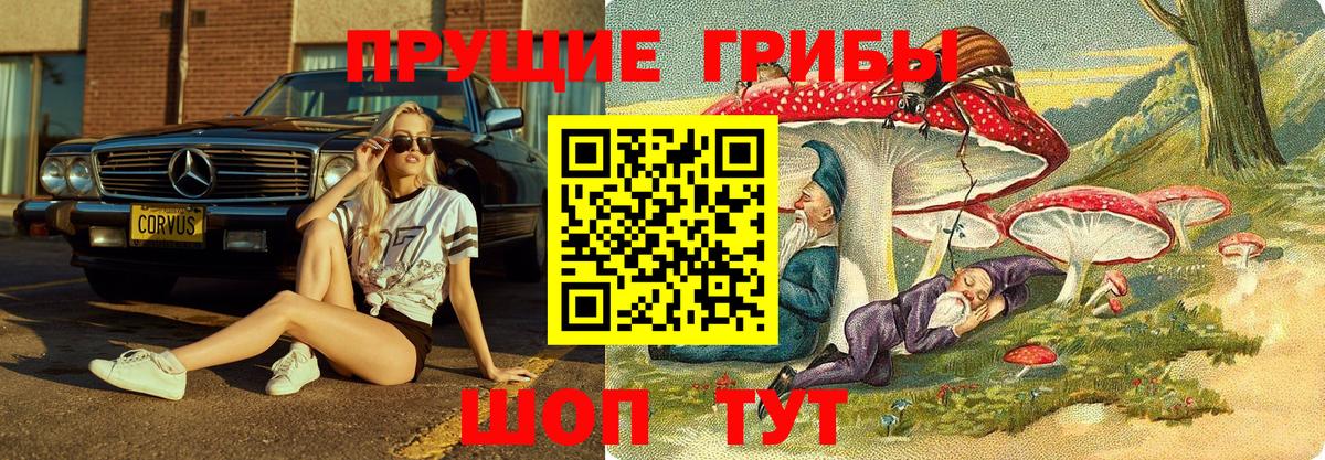 Балтийск  Галлюциногенные грибы Cubensis  Галлюциногенные грибы MAGIC MUSHROOMS  купить  цена  Вход с VPN 