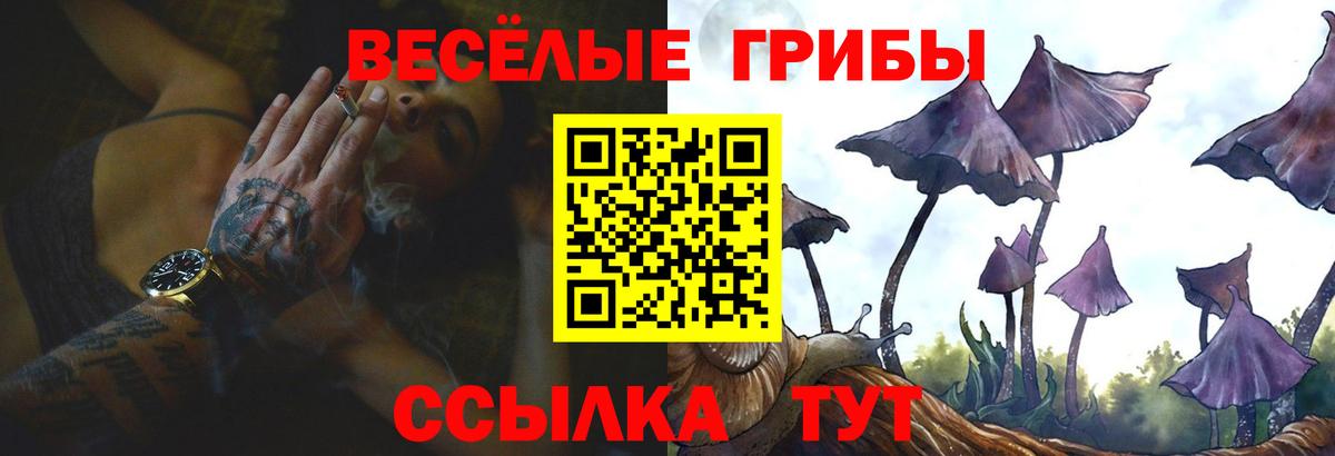 Галлюциногенные грибы мухоморы Балтийск