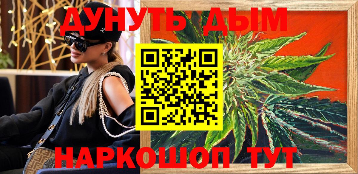 Каннабис OG Kush Балтийск